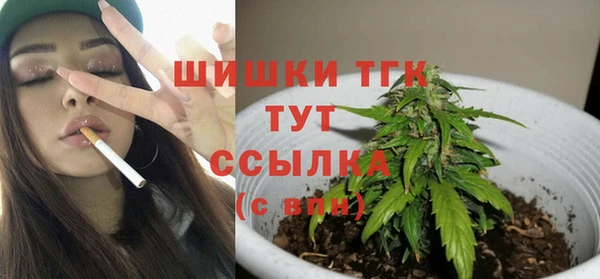 ALPHA PVP Козельск