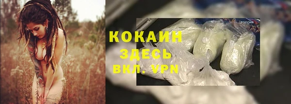 спиды Козловка