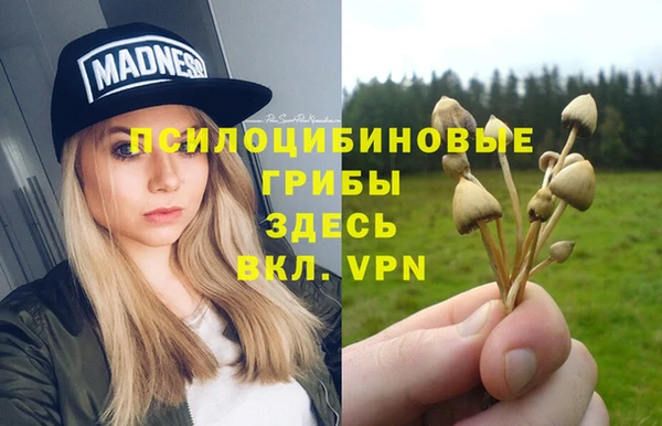 спиды Козловка