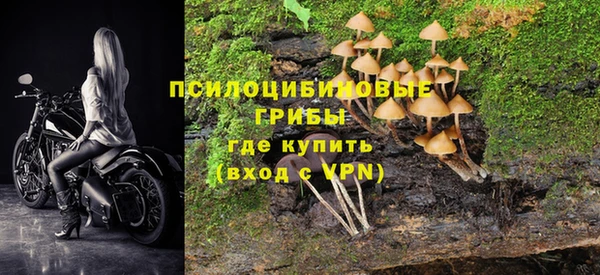 спиды Козловка