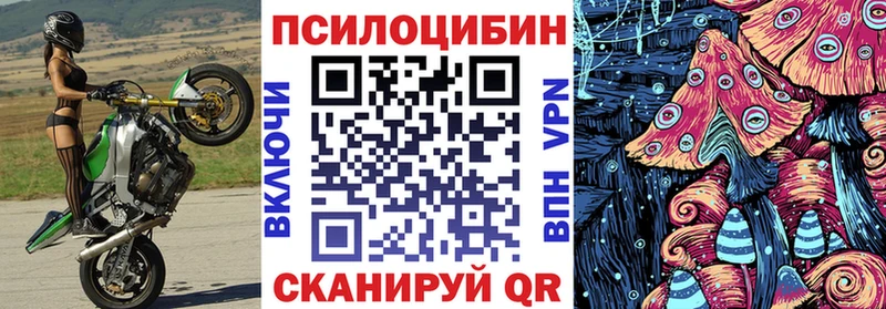 Купить закладки  Истра  Псилоцибиновые грибы GOLDEN TEACHER 