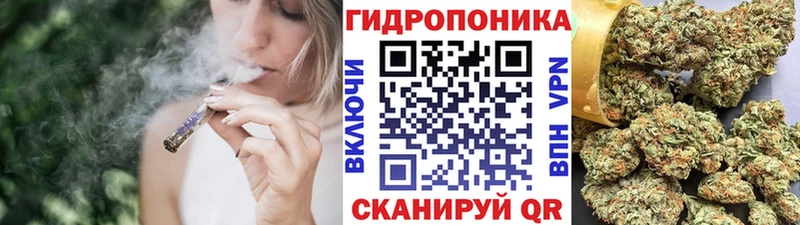 Купить где  Истра  Канабис SATIVA & INDICA 